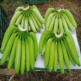 Awesome Product Image